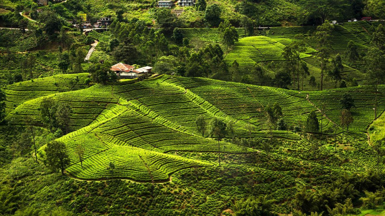 Kirula Green Hotel Nuwara Eliya Luaran gambar