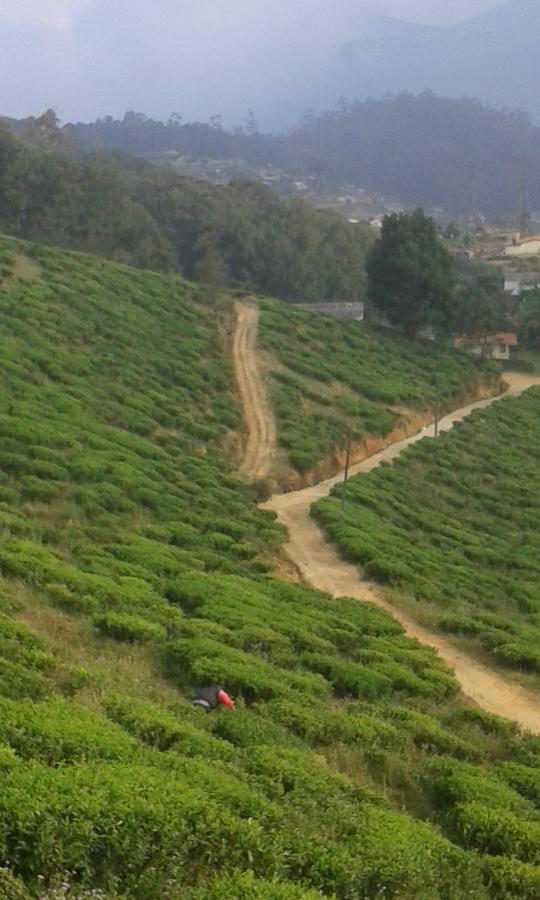 Kirula Green Hotel Nuwara Eliya Luaran gambar